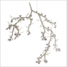 Blossom Blossom