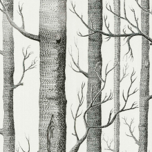 Woods Woods